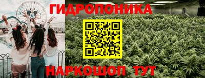 МДПВ Лесосибирск