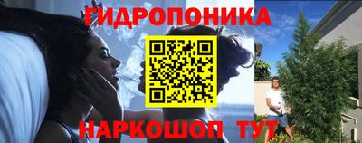 прущие грибы Ликино-Дулёво