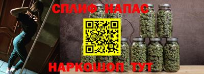 прущие грибы Ликино-Дулёво