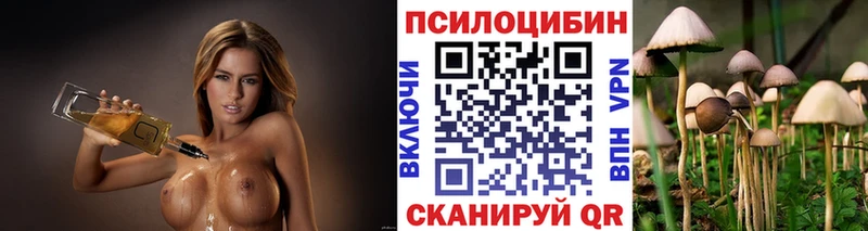 Галлюциногенные грибы Magic Shrooms ссылка на мегу как зайти Камышлов магазин наркотиков